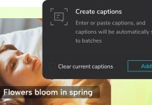 Boost Accessibility and Reach by Adding Captions to Your Marketing Videos