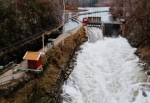 Honor Magic Watch 2 Impressive Design and Features