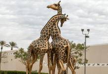 The Most Reliable Sculpting Supplier